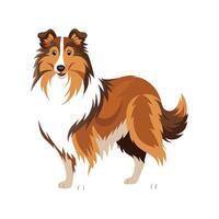 Graceful Collie in Elegant Pose vector
