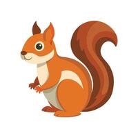 Active Common Squirrel foraging Food vector