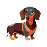Energetic Dachshund Puppy in Action vector
