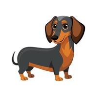 Cuddly Dachshund Relaxing on Couch vector