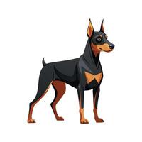 Strong Doberman Pinscher in Action vector