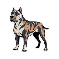 Sturdy Dogo Canario Protecting Territory vector