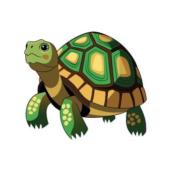 encantador oriental caja Tortuga explorador vector