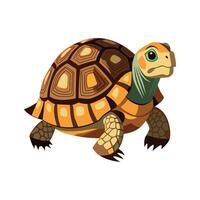 Serene Eastern Box Turtle in Natural Habitat vector
