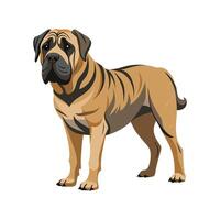 Elegant English Mastiff in Natural Setting vector