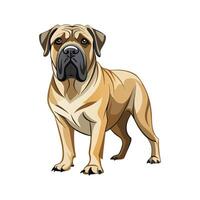 Charming English Mastiff with Friendly Gaze vector