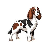 Charming English Springer Spaniel in Action vector