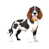Dynamic English Springer Spaniel in Action vector
