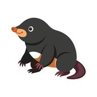 Charming European Mole in its Environment vector