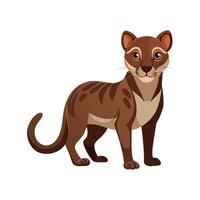 Curious Fossa Observing Its Environment vector