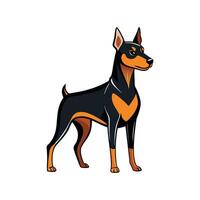 Dynamic German Pinscher in Action vector