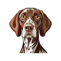 Charming German Shorthaired Pointer in Action vector