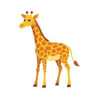 Charming Giraffe Eating Leaves from Trees vector
