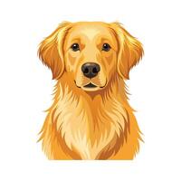 Energetic Golden Retriever with Unique Charm vector