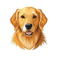 Charming Golden Retriever Enjoying Playtime vector