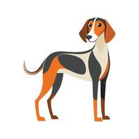 Majestic Hound Dog with Unique Traits vector