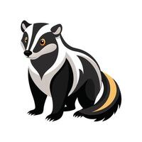 Curious Honey Badger Observing its Environment vector