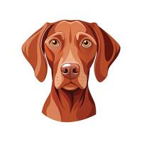 Dynamic Hungarian Vizsla Running Free vector