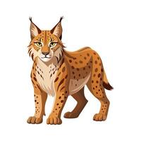 Curious Iberian Lynx Exploring its Territory vector