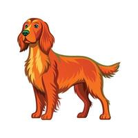 Charming Irish Setter with Unique Traits vector