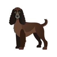 Beautiful Irish Water Spaniel in Natural Setting vector