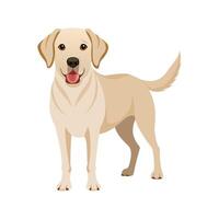 Unique Labrador Retriever Illustration for Art vector
