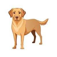 Labrador Retriever Art for Creative Use vector