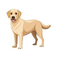 Charming Labrador Retriever Art for Designers vector