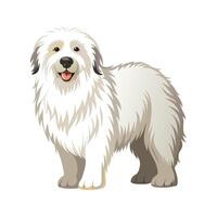 Stylized Maremma Sheepdog for Unique Art vector