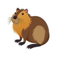 Nutria Illustration for Unique Wildlife Art vector