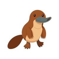 Stylized Platypus Art for Creative Minds vector