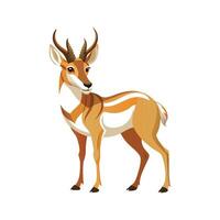 Stylized Pronghorn Art for Unique Wildlife vector