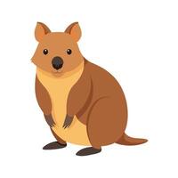 Creative Quokka for Artistic Projects vector