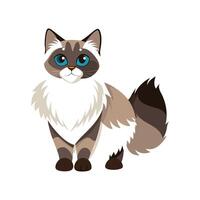 Charming Ragdoll Cat Illustration for Cat Lovers vector