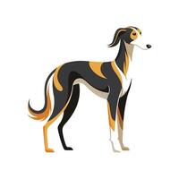 Engaging Saluki Illustration for Artistic Projects vector