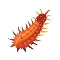 Stylized Sea Cucumber Art for Creatives vector