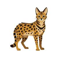 Creative Serval for Unique Wildlife vector