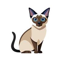 Creative Siamese Cat for Unique Pet Art vector