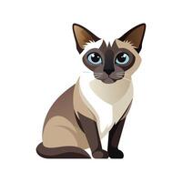 Engaging Siamese Cat Illustration for Creative Projects vector