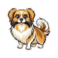 Engaging Tibetan Spaniel Illustration for Creative Projects vector