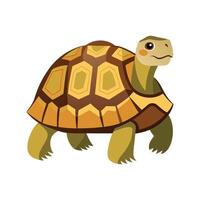 Stylized Tortoise Art for Unique Wildlife vector