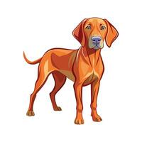 Creative Vizsla for Unique Pet Art vector