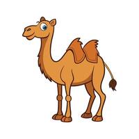 Unique Bactrian Camel Design for Creatives. Cartoon Art Animal Illustration vector