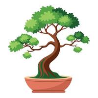 Miniature Bonsai Tree in a Pot Isolated on White Icon vector