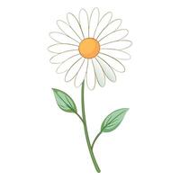 Delicate Broken Line Daisy with Subtle Gaps and Flower Concept vector