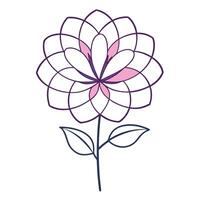 Artistic Double Lined Petal Blossom with Elegant Simplicity and Flower Concept vector