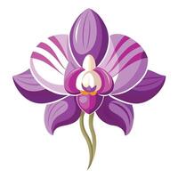 Beautiful Exotic Orchid with Intricate Petal Patterns and Flower Concept vector