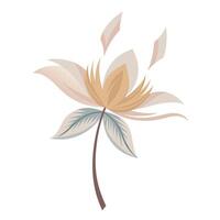Delicate Feather Petal Flower with Soft Texture and Flower Concept vector
