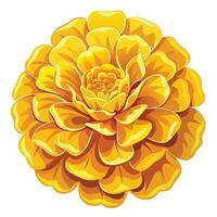Vibrant Golden Marigold with Lush Ruffled Petals and Flower Concept vector
