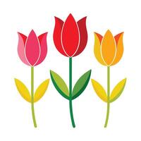 Intricate Modern Minimalist Stylized Tulip Trio and Flower Concept vector